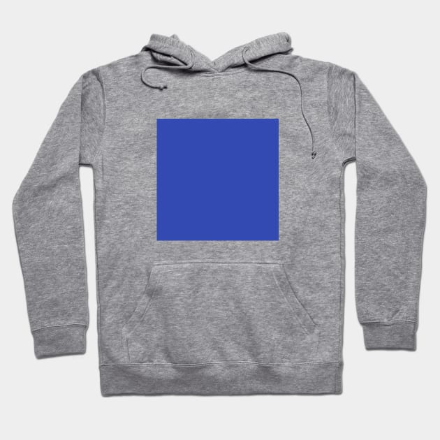 PLAIN SOLID Violet Blue Hoodie by colorsandpatterns